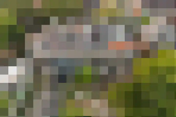 Tjerk Hiddesstraat 3 Leeuwarden thumbnail 36