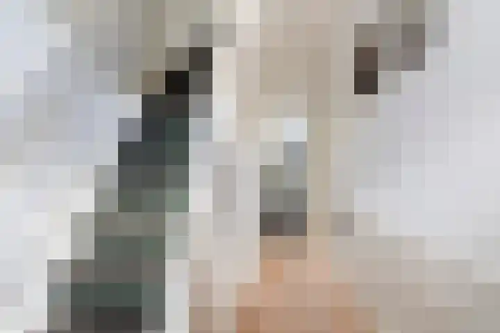 Tjerk Hiddesstraat 3 Leeuwarden thumbnail 6