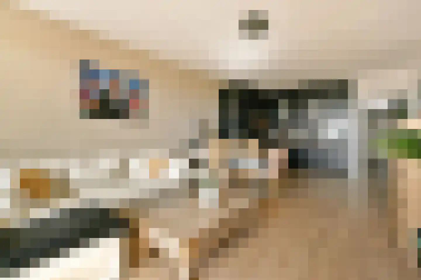 Tjerk Hiddesstraat 31 Zandvoort thumbnail 10