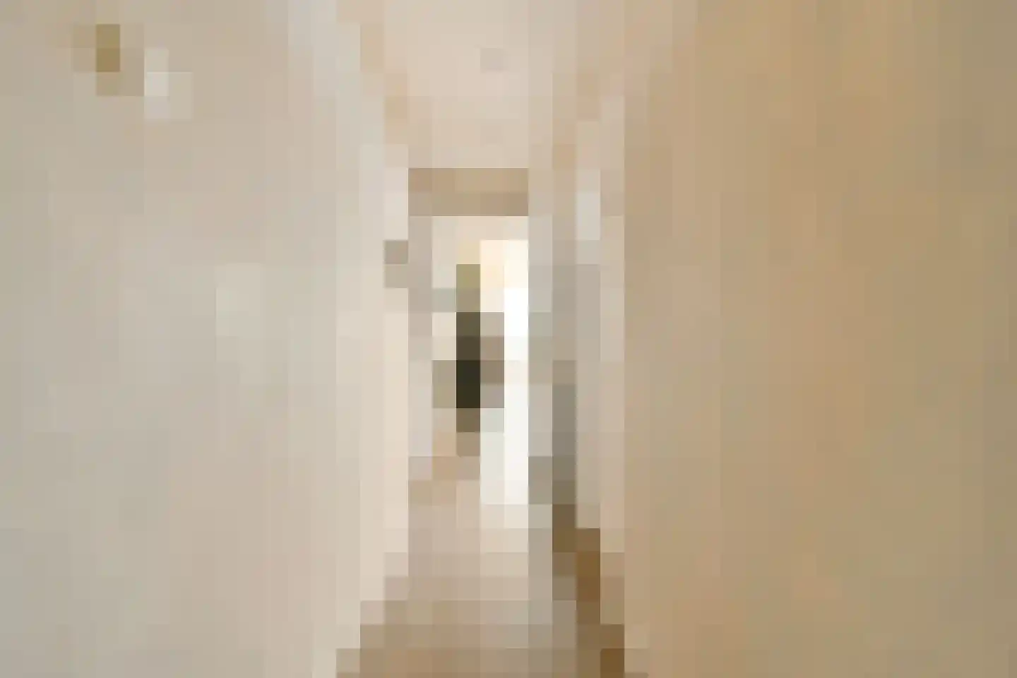 Tjerk Hiddesstraat 31 Zandvoort thumbnail 6