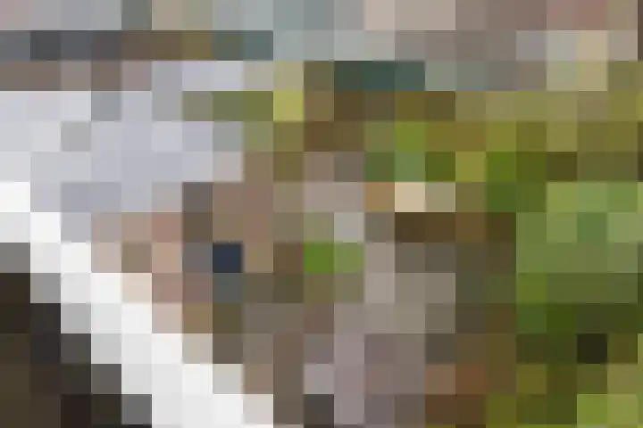 Tjerk Hiddesstraat 32 Leeuwarden thumbnail 27
