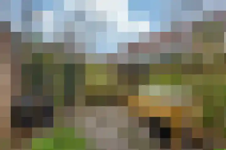 Tjerk Hiddesstraat 32 Leeuwarden thumbnail 35