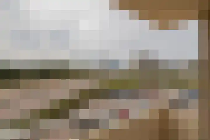 Tjerk Hiddesstraat 39 Zandvoort thumbnail 14