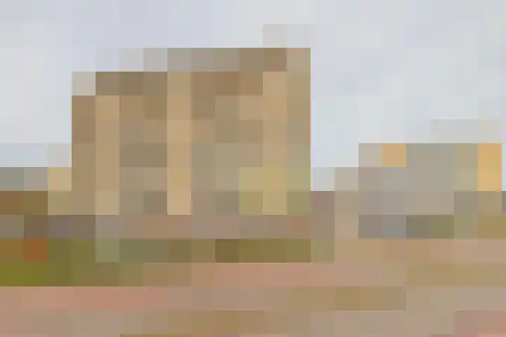 Tjerk Hiddesstraat 39 Zandvoort thumbnail 5