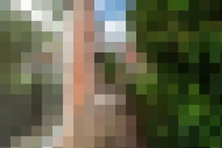 Tjerk Hiddesstraat 53 Leeuwarden thumbnail 31