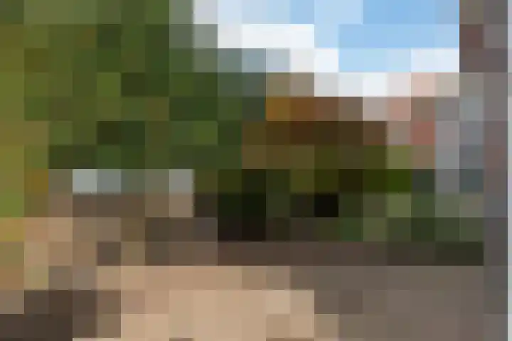 Tjerk Hiddesstraat 53 Leeuwarden thumbnail 32