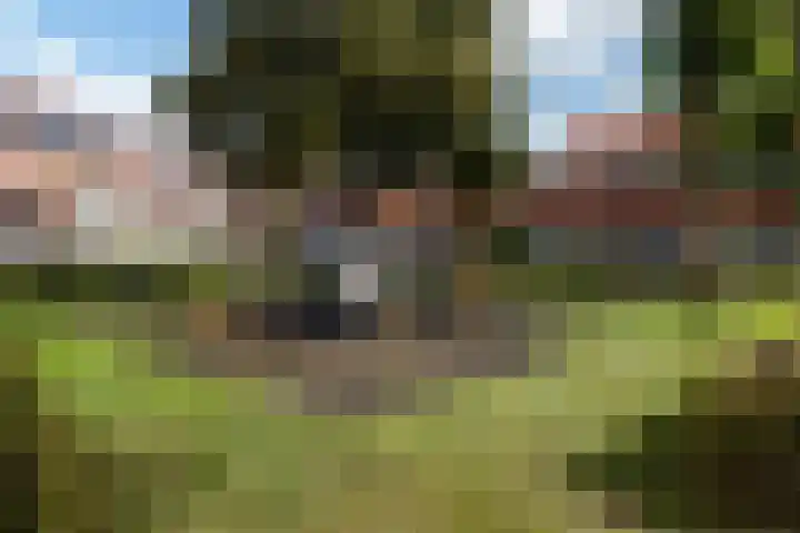 Tjerk Hiddesstraat 53 Leeuwarden thumbnail 37