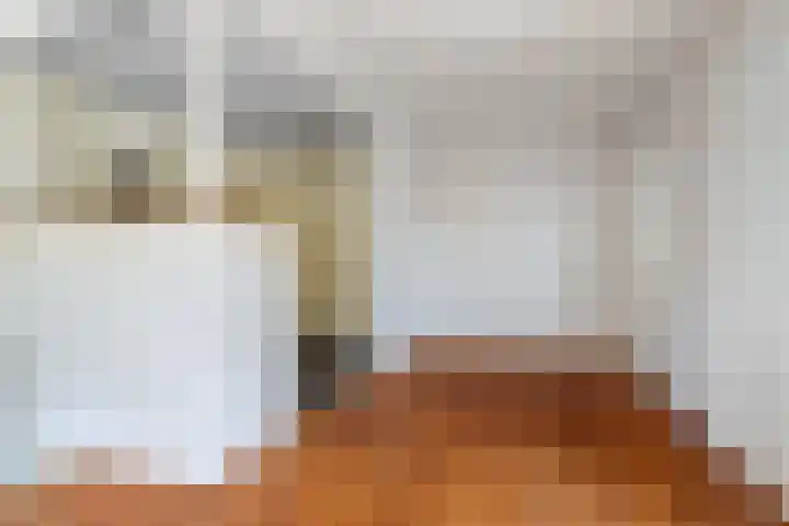 Tjerk Hiddesstraat 53 Leeuwarden thumbnail 6
