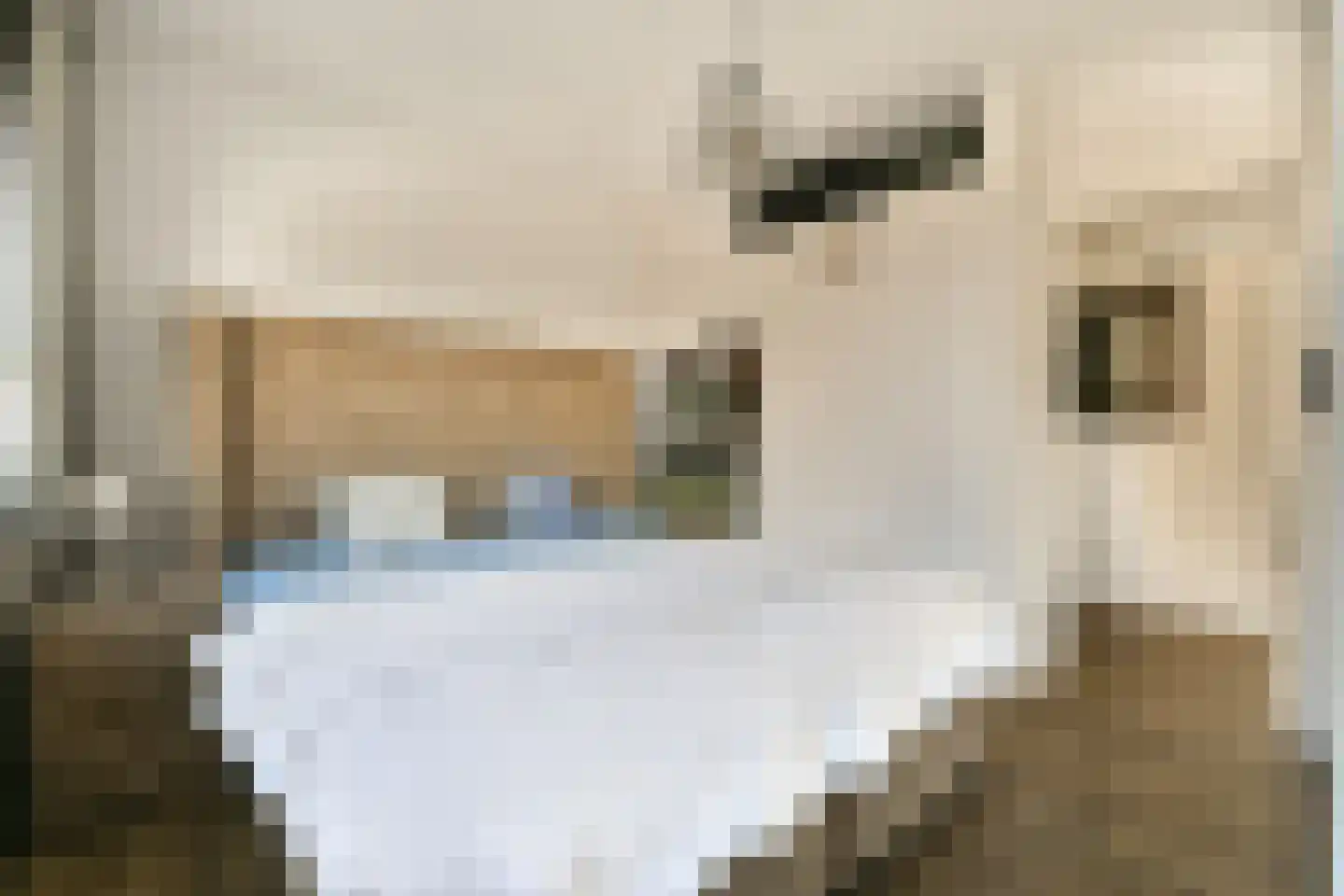 Tjerk Hiddesstraat 6 F 6 Zandvoort thumbnail 11
