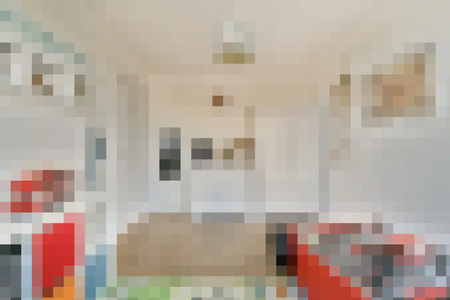 Tjerk Hiddesstraat 6 F 6 Zandvoort thumbnail 13