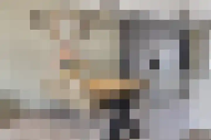 Tjerk Hiddesstraat 74 Helmond thumbnail 15