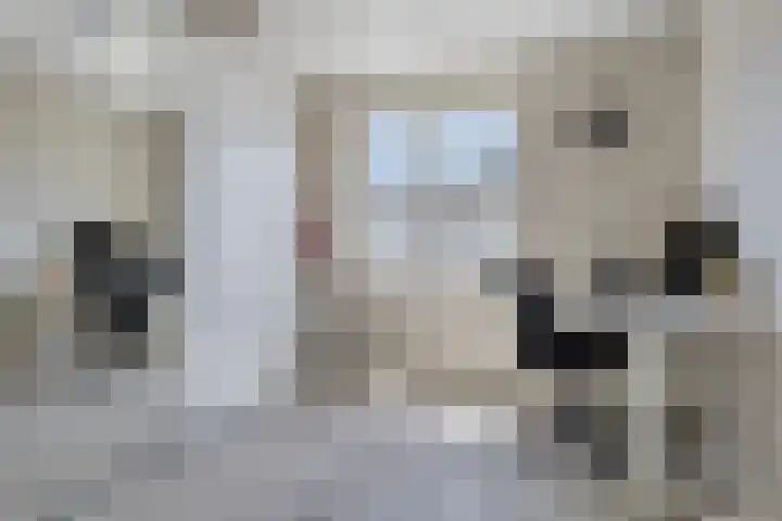 Tjerk Hiddesstraat 74 Helmond thumbnail 23