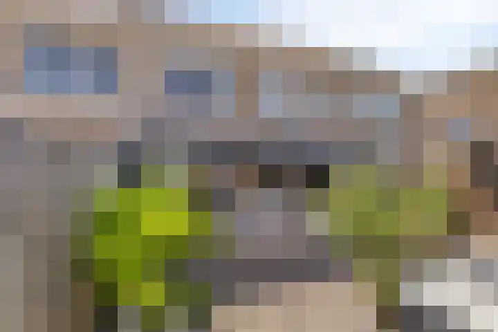 Tjerk Hiddesstraat 74 Helmond thumbnail 30