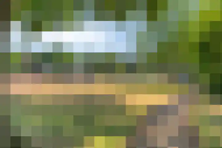 Tjerk Hiddesstraat 74 Helmond thumbnail 34