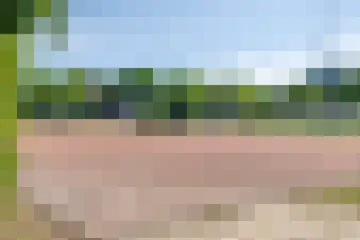 Tjerk Hiddesstraat 74 Helmond thumbnail 35