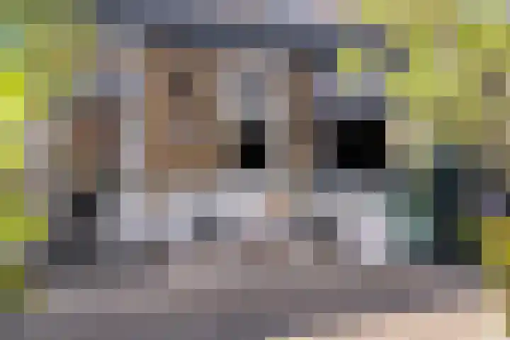 Tjerk Hiddesstraat 74 Helmond thumbnail 5