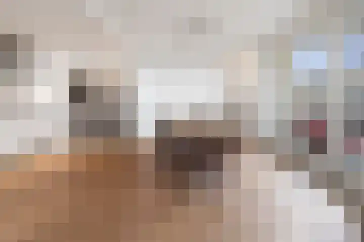 Tjerk Hiddesstraat 8 F 2 Zandvoort thumbnail 12