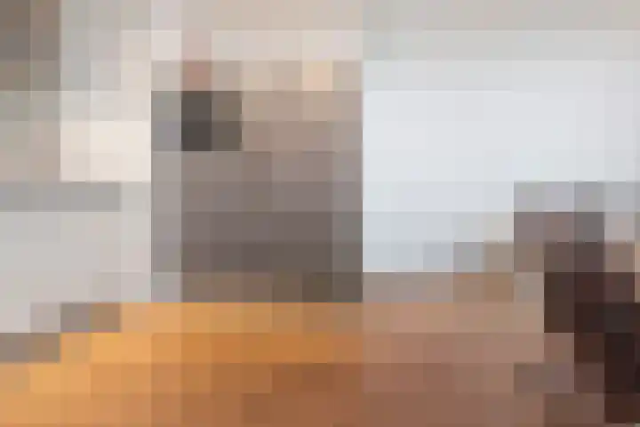 Tjerk Hiddesstraat 8 F 2 Zandvoort thumbnail 13
