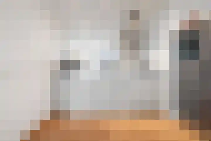 Tjerk Hiddesstraat 8 F 2 Zandvoort thumbnail 14