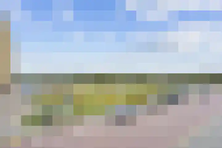 Tjerk Hiddesstraat 8 F 2 Zandvoort thumbnail 24