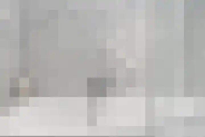 Tjerk Hiddesstraat 8 F 2 Zandvoort thumbnail 28