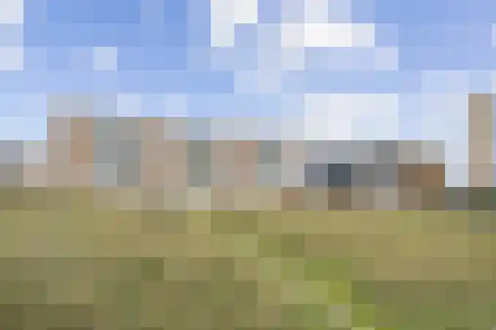 Tjerk Hiddesstraat 8 F 2 Zandvoort thumbnail 32