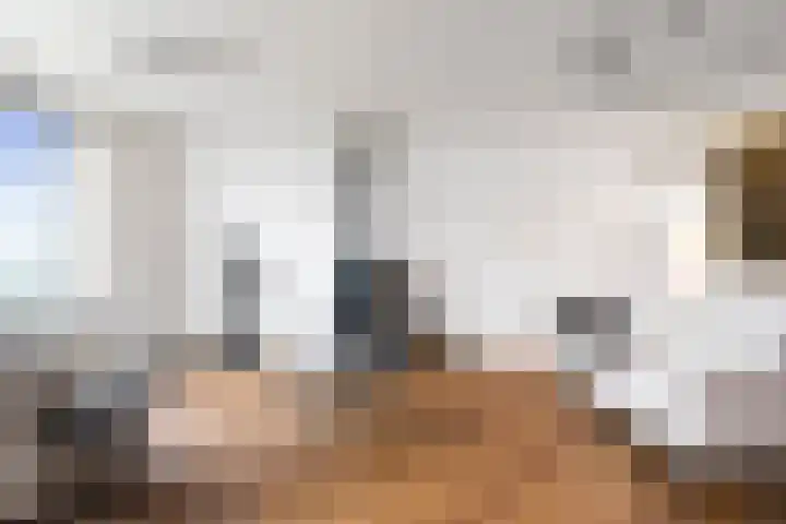 Tjerk Hiddesstraat 8 F 2 Zandvoort thumbnail 8