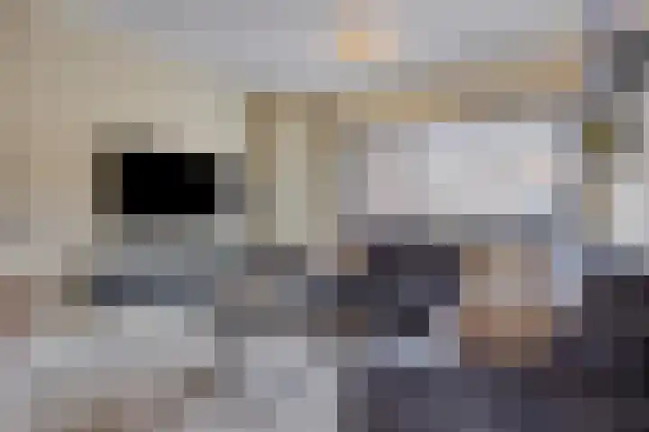 Tjerk Hiddesstraat 8 Zutphen thumbnail 10