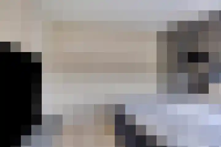 Tjerk Hiddesstraat 8 Zutphen thumbnail 21