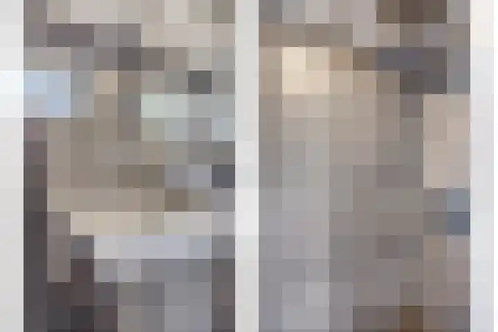 Tjerk Hiddesstraat 8 Zutphen thumbnail 22