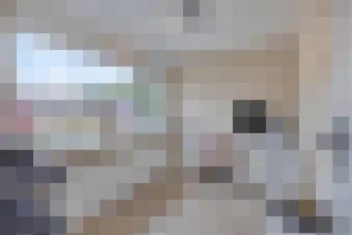 Tjerk Hiddesstraat 8 Zutphen thumbnail 24