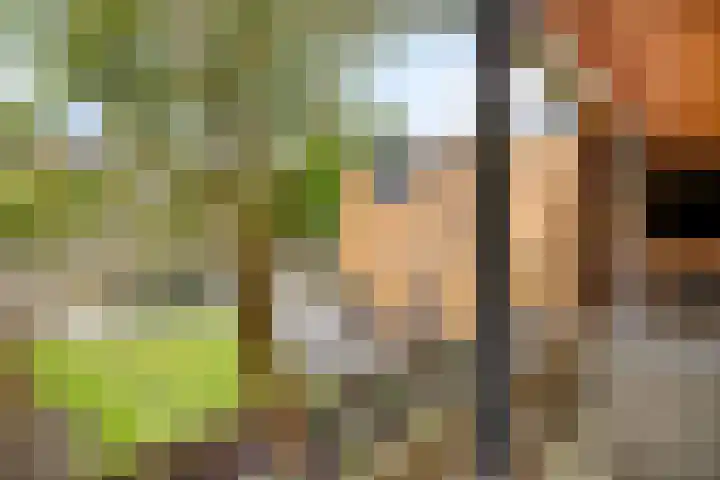 Tjerk Hiddesstraat 8 Zutphen thumbnail 28