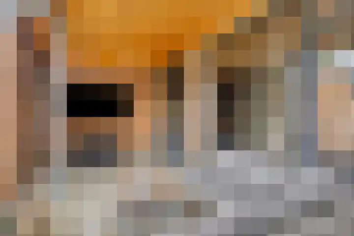 Tjerk Hiddesstraat 8 Zutphen thumbnail 30