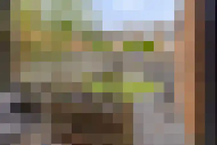 Tjerk Hiddesstraat 8 Zutphen thumbnail 31