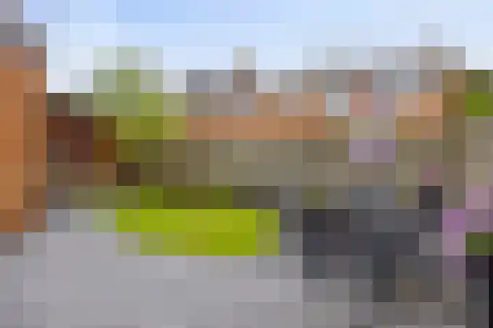 Tjerk Hiddesstraat 8 Zutphen thumbnail 33