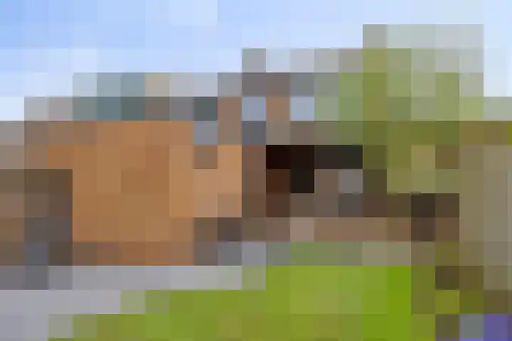 Tjerk Hiddesstraat 8 Zutphen thumbnail 34
