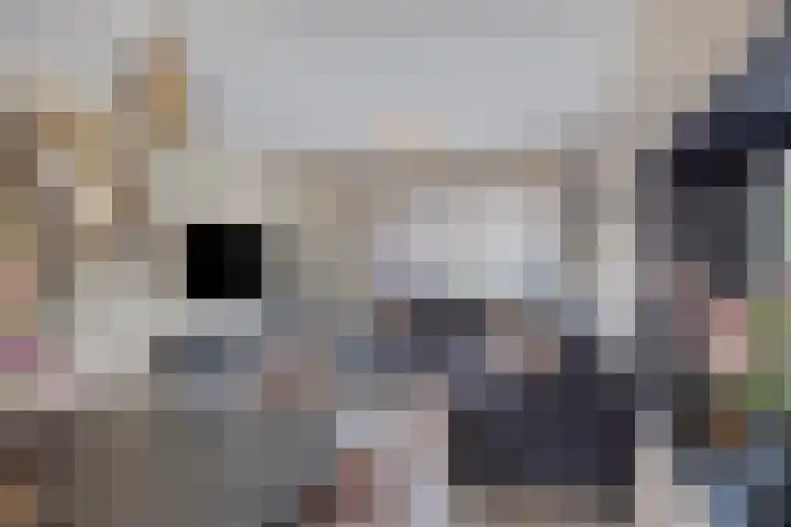 Tjerk Hiddesstraat 8 Zutphen thumbnail 8