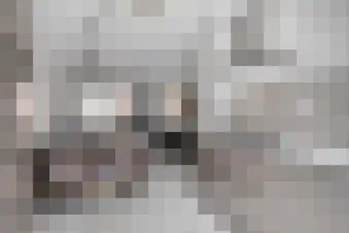 Tjerk Hiddesstraat 80 Helmond thumbnail 14