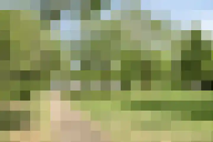 Tjerk Hiddesstraat 80 Helmond thumbnail 32