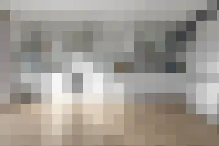 Tjerk Kloostralaan 12 Den Haag thumbnail 14