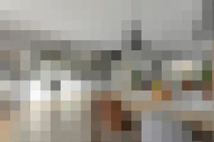 Tjerk Kloostralaan 12 Den Haag thumbnail 18