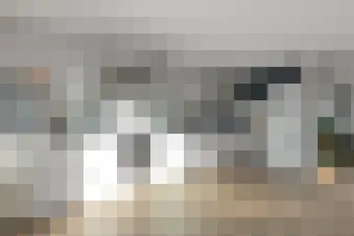Tjerk Kloostralaan 12 Den Haag thumbnail 19