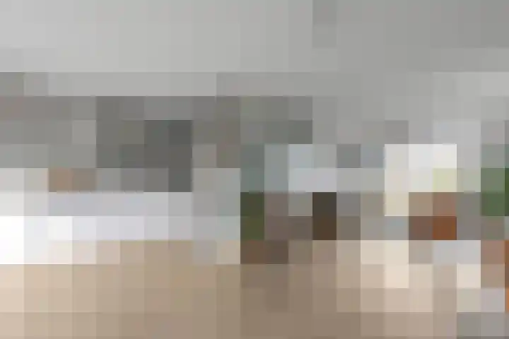 Tjerk Kloostralaan 12 Den Haag thumbnail 20