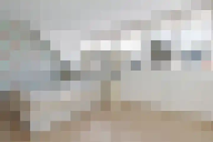 Tjerk Kloostralaan 12 Den Haag thumbnail 34