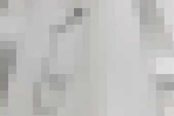 Tjerk Kloostralaan 12 Den Haag thumbnail 40