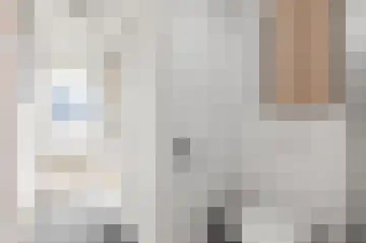 Tjerk Kloostralaan 12 Den Haag thumbnail 41