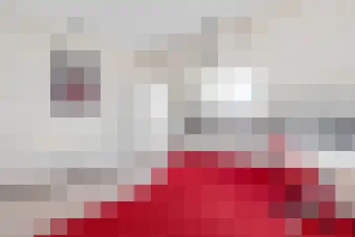 Tjerk Kloostralaan 12 Den Haag thumbnail 48