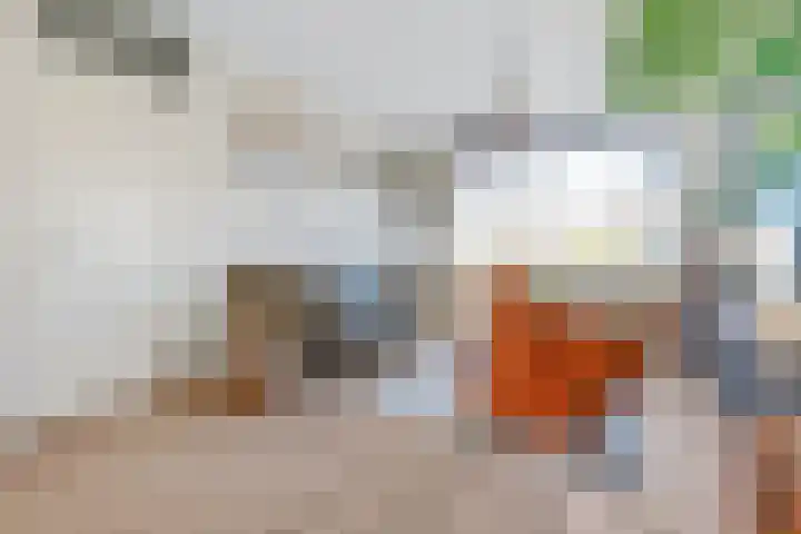 Tjerk Kloostralaan 12 Den Haag thumbnail 5