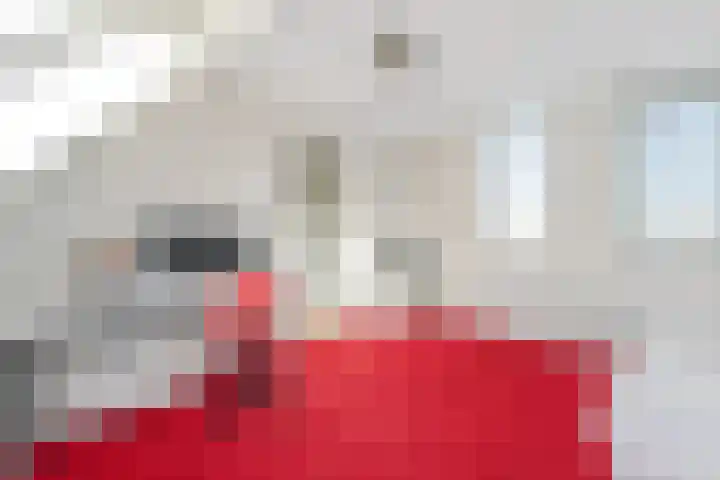 Tjerk Kloostralaan 12 Den Haag thumbnail 50