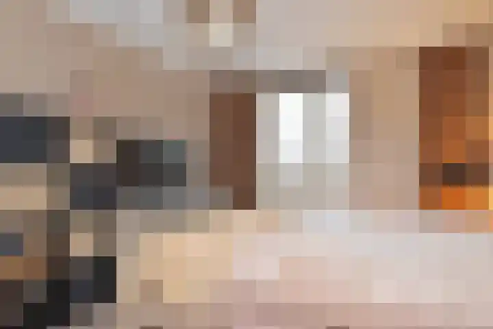 Tjerk Kloostralaan 62 Den Haag thumbnail 18